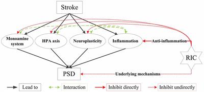 Remote Ischemic Conditioning: A Novel Non-Invasive Approach to Prevent Post-Stroke Depression